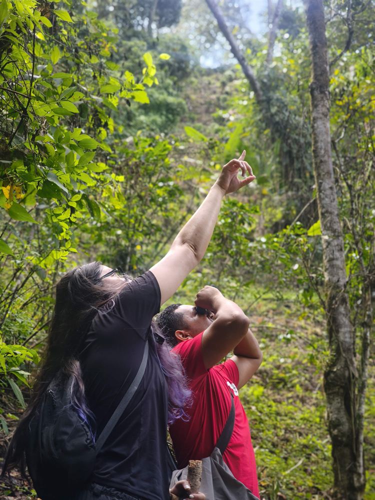 Grupo disfrutando el recorrido