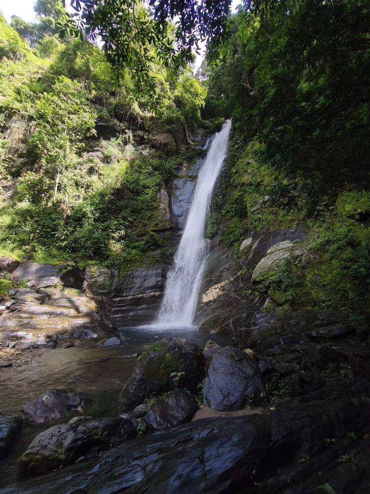 Cascada Escondida El Jaguar