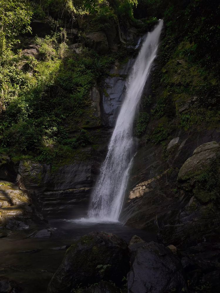 Caída de agua entre la vegetación