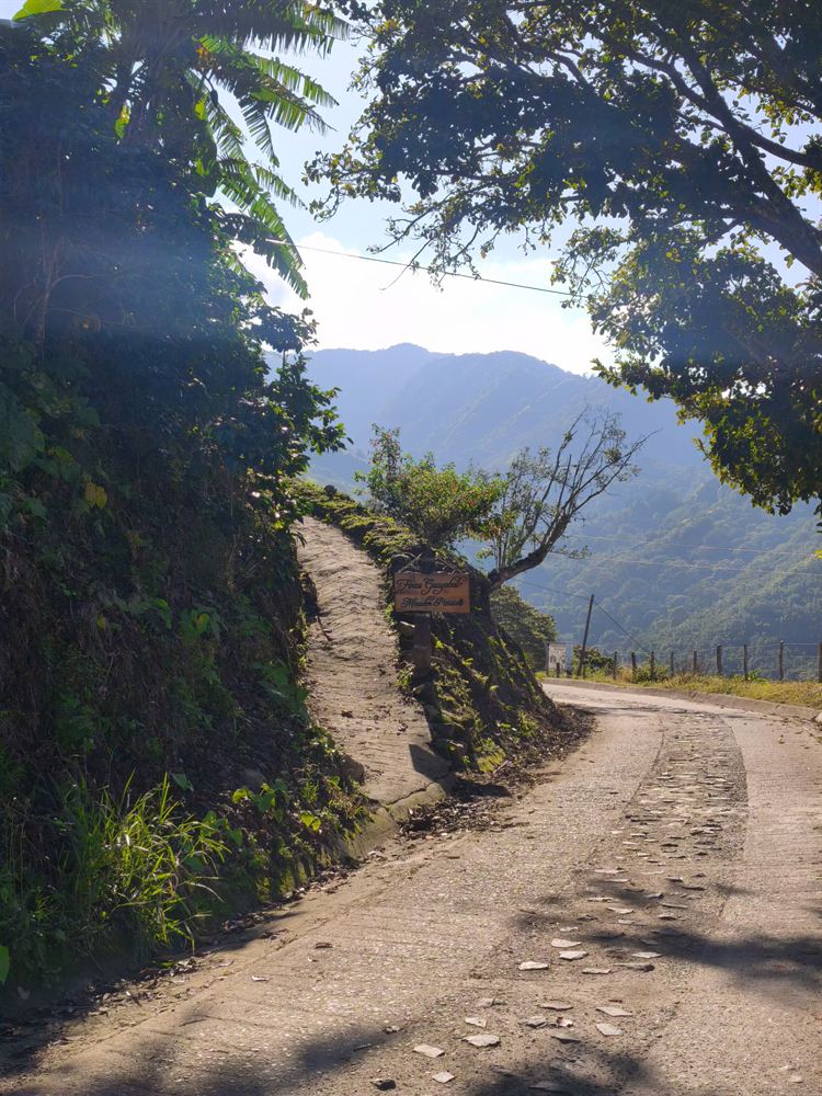 Camino con vista a las montañas de Minca